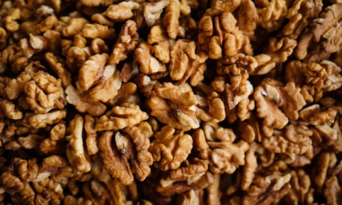 Vlašský ořech: kompletní profil (Juglans regia) – od juglonu po melatonin