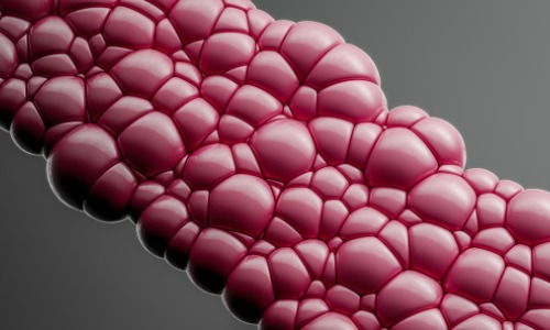 Ořechy a cholesterol: kolik skutečně snižují LDL a proč za tím nejsou jen fytosteroly